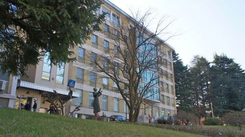 Media gallery item